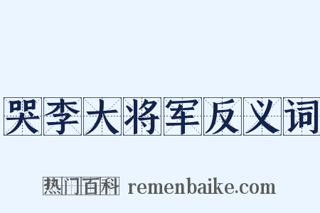 哭李大将军反义词是什么意思的图片